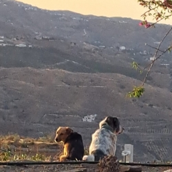Surveying the Campo with Brother Freddie